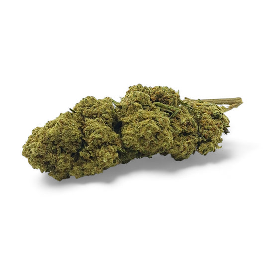Harlequin CBD Indoor – Fleur Sativa Suisse