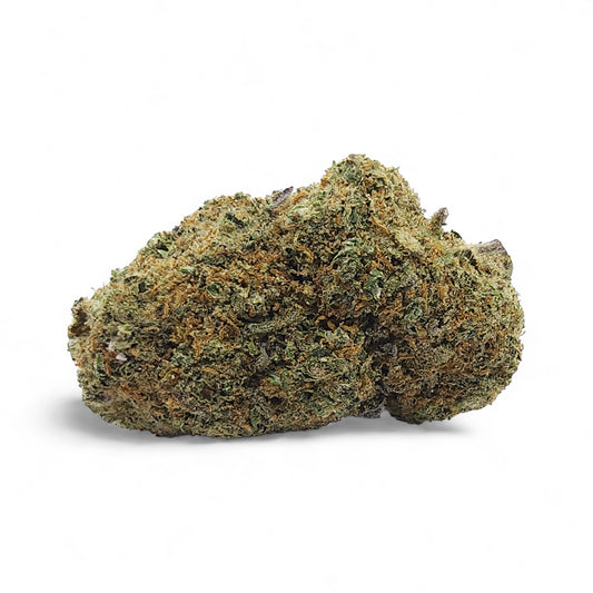 Gelato Glue Indoor Premium – Fleur CBD Suisse puissante, 13 % CBD