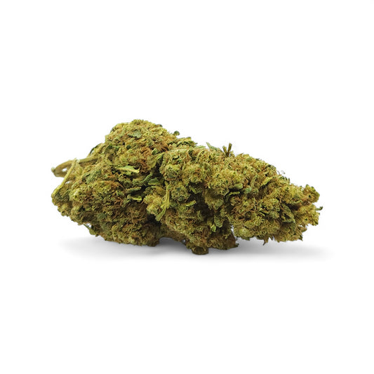Limoncello Premium Greenhouse – Fleur de CBD Sativa aux arômes d’agrumes