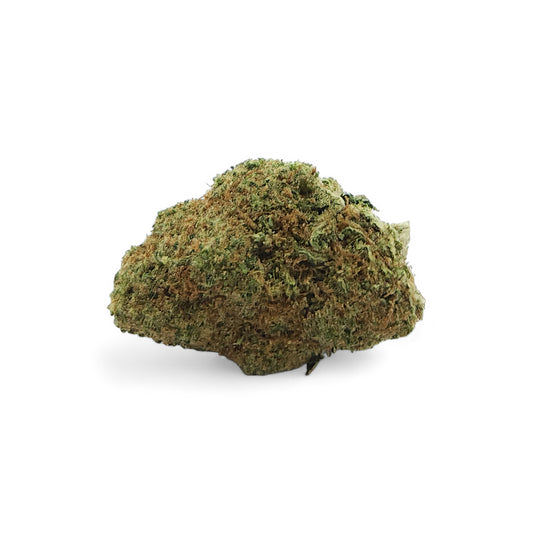 Tropical Haze Indoor Premium (Suisse)