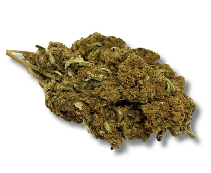 Lemon Haze CBD Greenhouse – Fleur de CBD Italienne 4 %