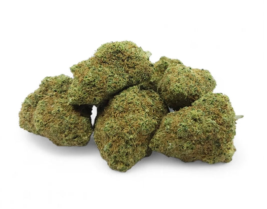 Tropical Haze Indoor Premium (Suisse)
